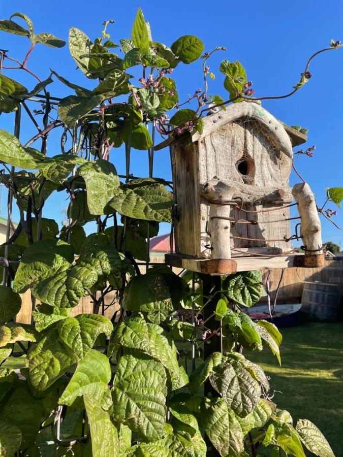 Ki Dragonfly Guesthouse Kingscote Ngoại thất bức ảnh